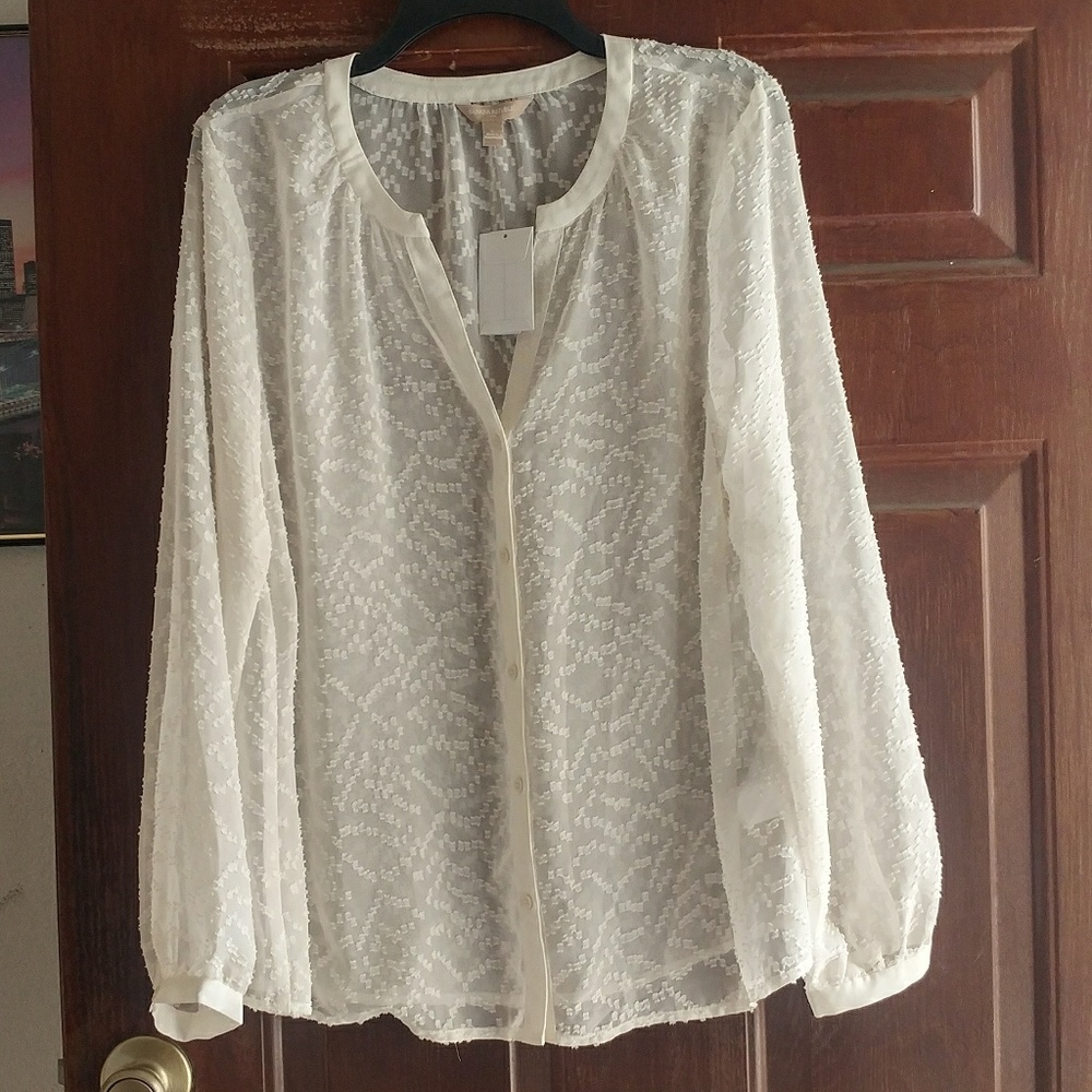 Banana Republic sheer long sleeve